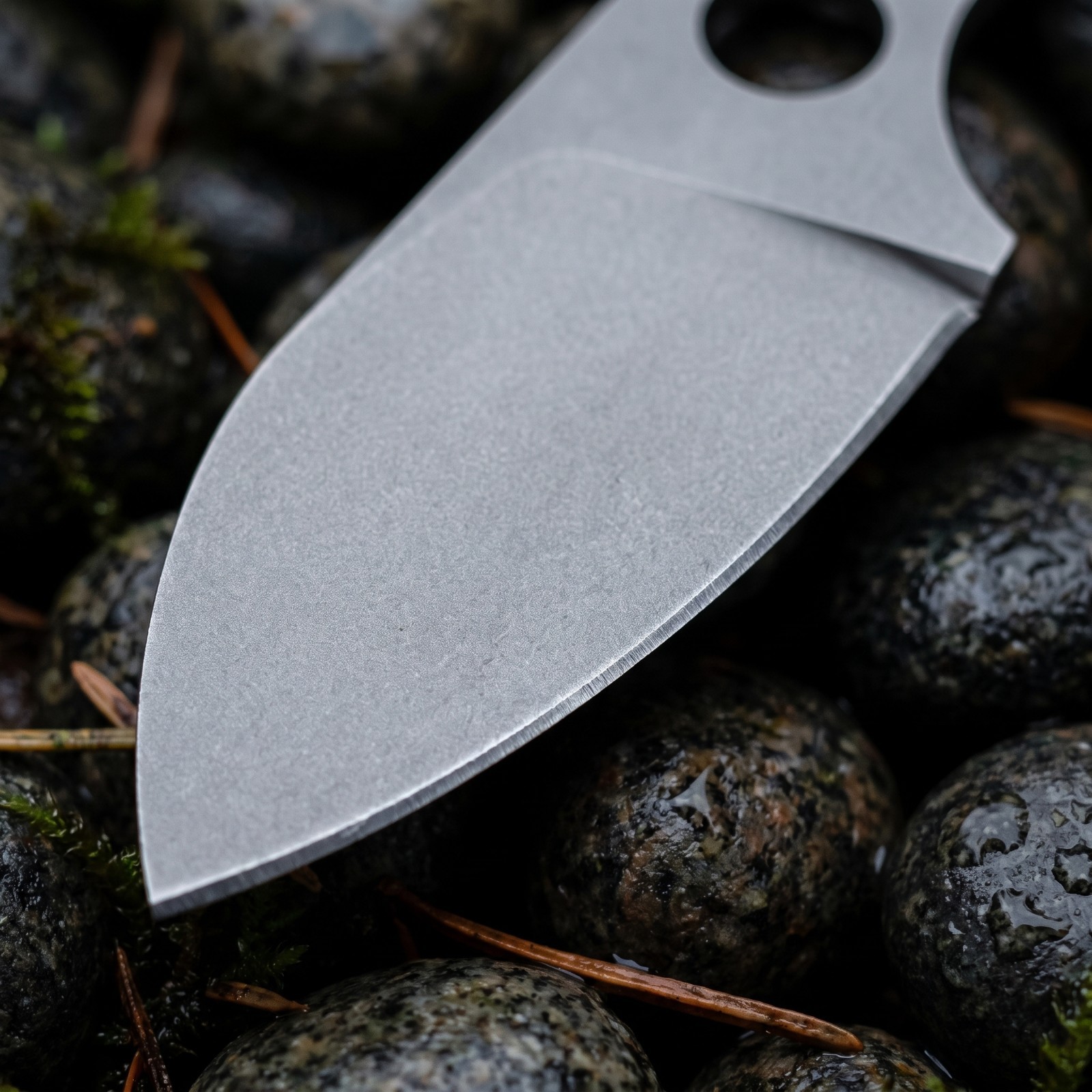 Stainless Steel EDC Fixed Blad - Edc Carry All ulasan dan harga